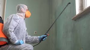 Trusted Mound Bayou, MS Mold Removal Experts